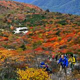 登山客迎える天空の錦絵　那須岳で紅葉見頃【動画】