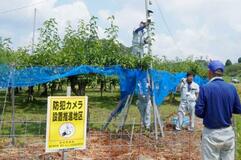 農作物の盗難頻発、地域で防犯