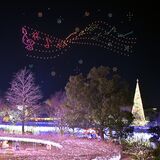 冬の夜空に「大藤」満開　あしかがフラワーパーク、ドローンショーを初開催　