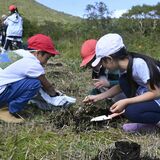 ニッコウキスゲを守ろう　小学生25人が補植体験、自然の尊さ学ぶ　日光