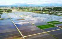 田植えシーズン　大田原
