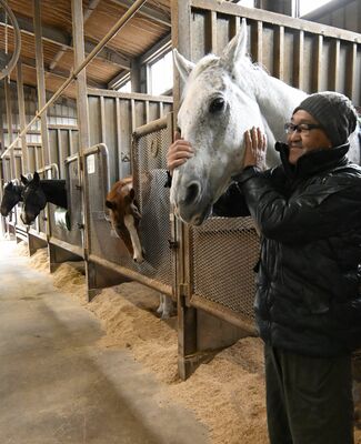 厩舎で馬の健康管理をする俊介さん