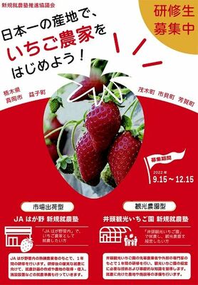 研修生募集のチラシ