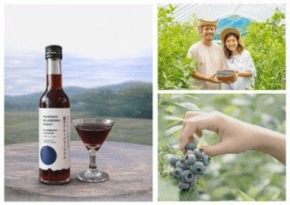 リキュール「益子ブルーベリーナイト」や金子さん夫妻、栽培されたブルーベリー