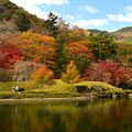 池のほとりを彩る紅葉 鹿沼・古峯神社で見頃