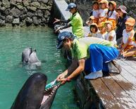 太地の博物館でクジラの歯磨き