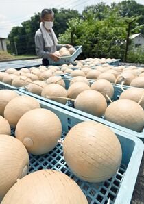 花火玉　天日干し　栃木