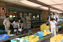 ファーム・マーケット（道の駅「明治の森・黒磯」）　特産生乳使った　ジェラート充実