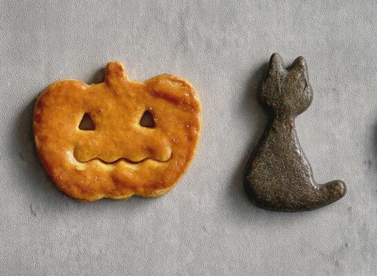 大森さんが協力して学生が制作した「ハロウィンクッキー」。右が麻炭を練り込んだもの