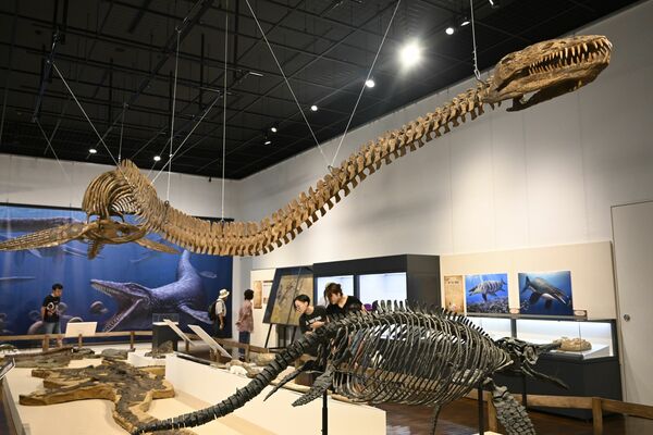 全長11ｍ超のタラソメドンの骨格標本など１２６点が並ぶ展示会場