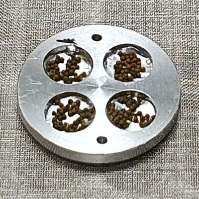 実験装置に入れたコケ胞子の粒。1粒に約4千個の胞子が入っている(藤田知道教授ら提供)