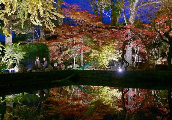 ライトアップされ、池の水面に映える円通寺の紅葉＝22日午後５時10分、益子町大沢