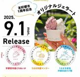 宇都宮市と沖縄・うるま市がジェラート開発　ふるさと納税返礼品に追加