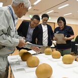 ナシ「にっこり」の大玉コンテスト　最優秀賞は島田さん、その重さは？　Ｊ…
