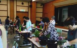 色とりどりの花 寄せ植えで交流