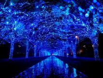 累計1,500万人以上※1が訪れた冬の風物詩 『青の洞窟 SHIBUYA』、2025年も開催決定!