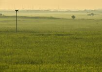 ラムサール登録10年の渡良瀬遊水地