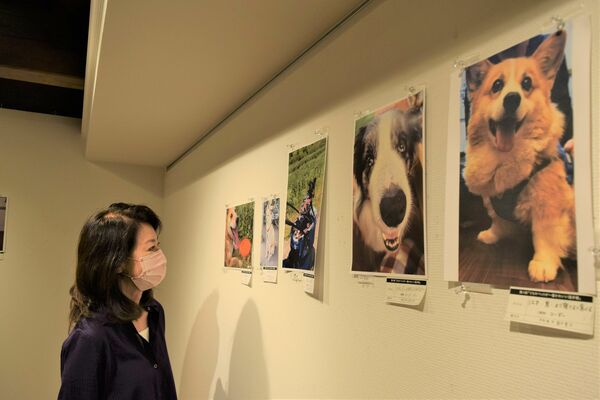 ペットの写真を随時展示できる企画展