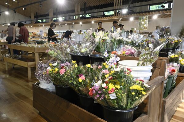 地元で生産されたコギクなど花や野菜が充実する直売所