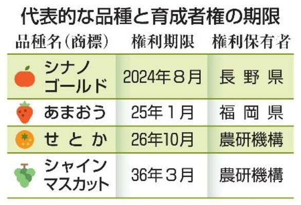　代表的な品種と育成者権の期限