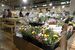 地元で生産されたコギクなど花や野菜が充実する直売所