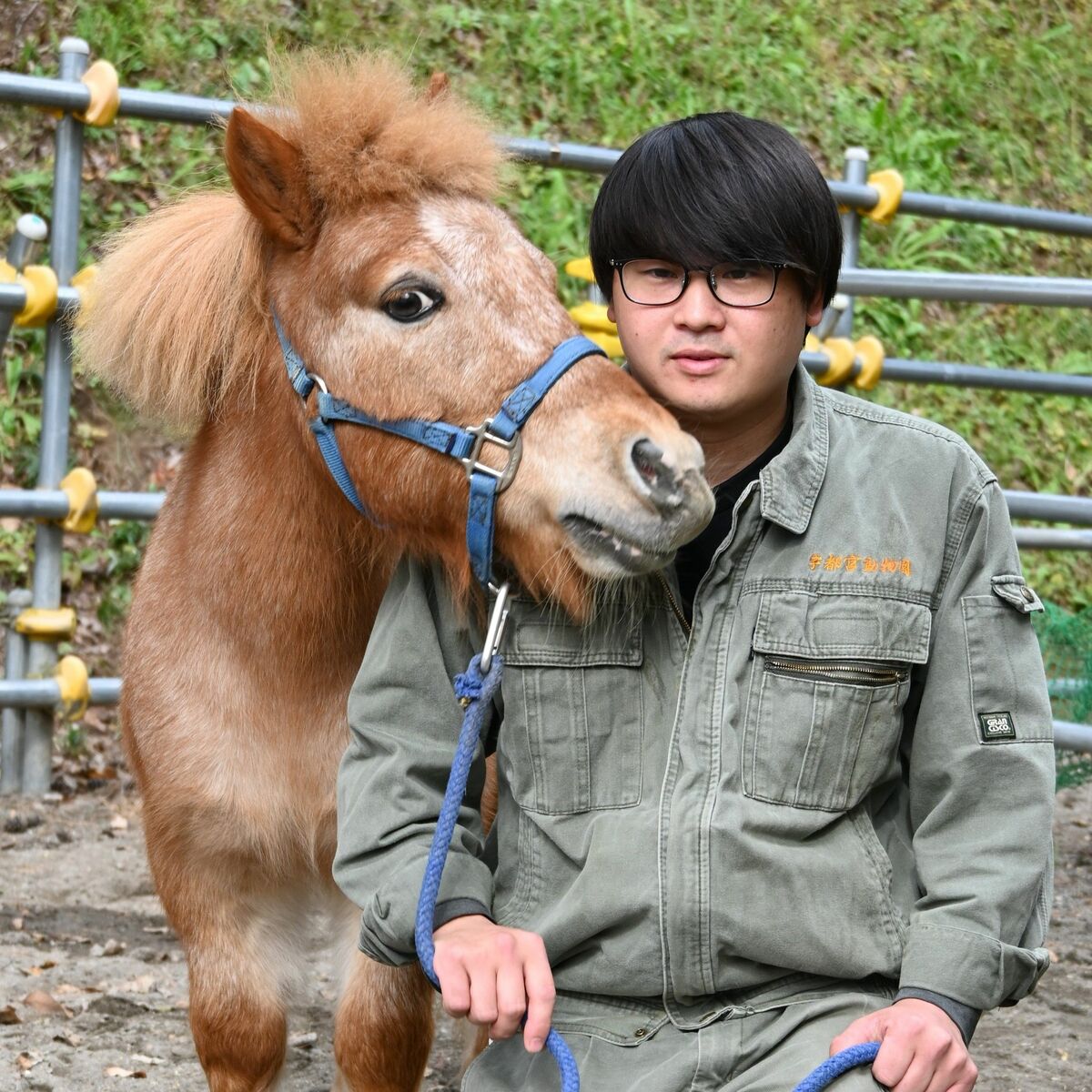宇都宮・八幡山公園のポニー「てつろー」 性格はわんぱく、乗馬客の癒