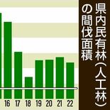 県内 間伐面積、目標値下回る　「ウッドショック」で作業量増　人手不足が…