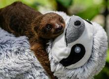 あのね、ママっ