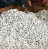 今年最後の繭出荷　品質良好、目標量は届かず　小山