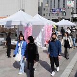宇都宮・宮の橋屋台が“復活”　31日まで、ギョーザやイチゴ大福、地酒など販売　シダレザクラもライトアップ