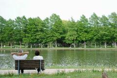 【ぷらっとＴＯＫＹＯ】水郷の風景と名物の地蔵　開園６０周年の水元公園周辺