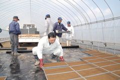 ＜ＪＡうつのみや＞農事組合法人　石田ファーム（上三川）　農地守るため集落一丸