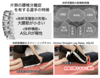 MRIと簡便な体幹筋機能のスクリーニングで“腰椎分離症”の特徴を解明
