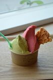 ピスタチオとフランボワーズのジェラート