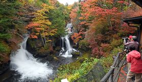 竜頭の滝紅葉見頃　日光