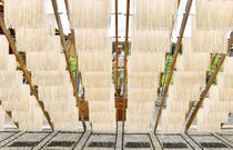 天日干しの冷や麦作り 那珂川