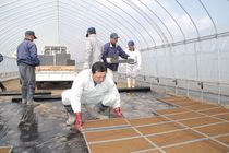 ＜ＪＡうつのみや＞農事組合法人　石田ファーム（上三川）　農地守るため集落一丸