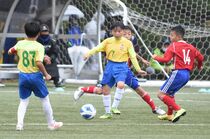 第50回県Ｕ-10サッカー選手権大会　16、17日