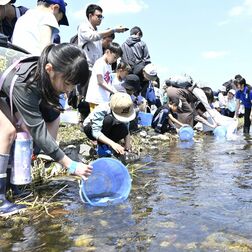 大田原・なかがわ水遊園で稚アユ放流　200人参加し河川清掃も