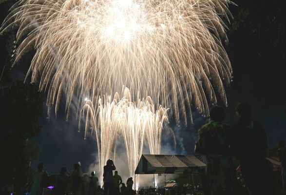 夜空を彩る花火