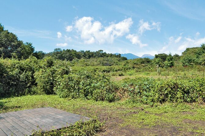 那須山サイトは星や月をひとりじめできます。この他、竹林・小川のせせらぎサイトが人気