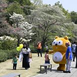 普段は入れない庭園を今年も一般開放　20日まで　ＫＤＤＩ小山ネットワー…