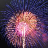 5万人、夜空の大輪堪能 真岡で4年ぶり「尊徳まつり」