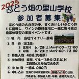 「ぶどう畑の里山学校」参加募集　かぬま里山わいん　６月と８月に農業体験…