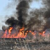 野外焼却の延焼相次ぐ　栃木県内１～３月で44件　野焼きやごみ焼却、死亡例も　県「農薬など別方法を」
