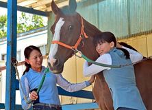 綾瀬はるかさんが馬術の広田夫妻訪問　那須塩原