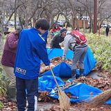日光パークボランティア　光徳園地で落ち葉かき　中学生含む60人参加