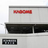 まるで野菜のテーマパーク！？　東京ドーム３個分の広さ　おいしいジュースの秘密
