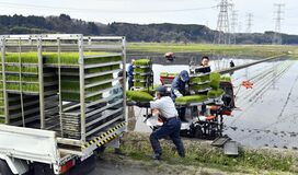 大田原で田植え