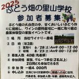 「ぶどう畑の里山学校」参加募集　かぬま里山わいん　６月と８月に農業体験イベント